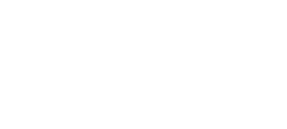 Disney Global Security